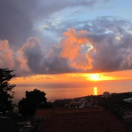 Madeira House Dom wakacyjny Calheta (Madeira)