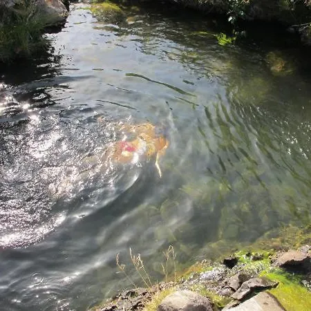 Casa vacanze Madeira House