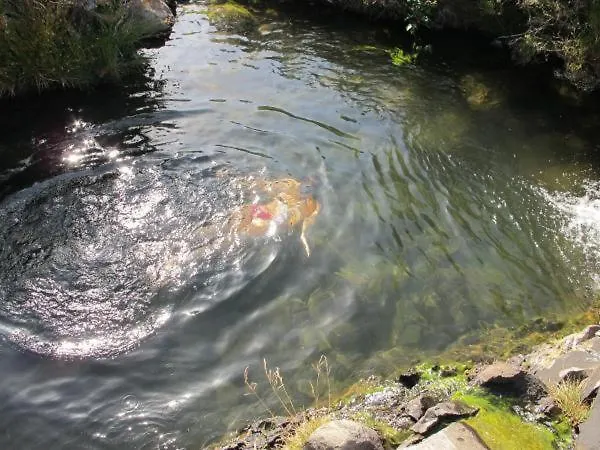 Casa de Férias Madeira House